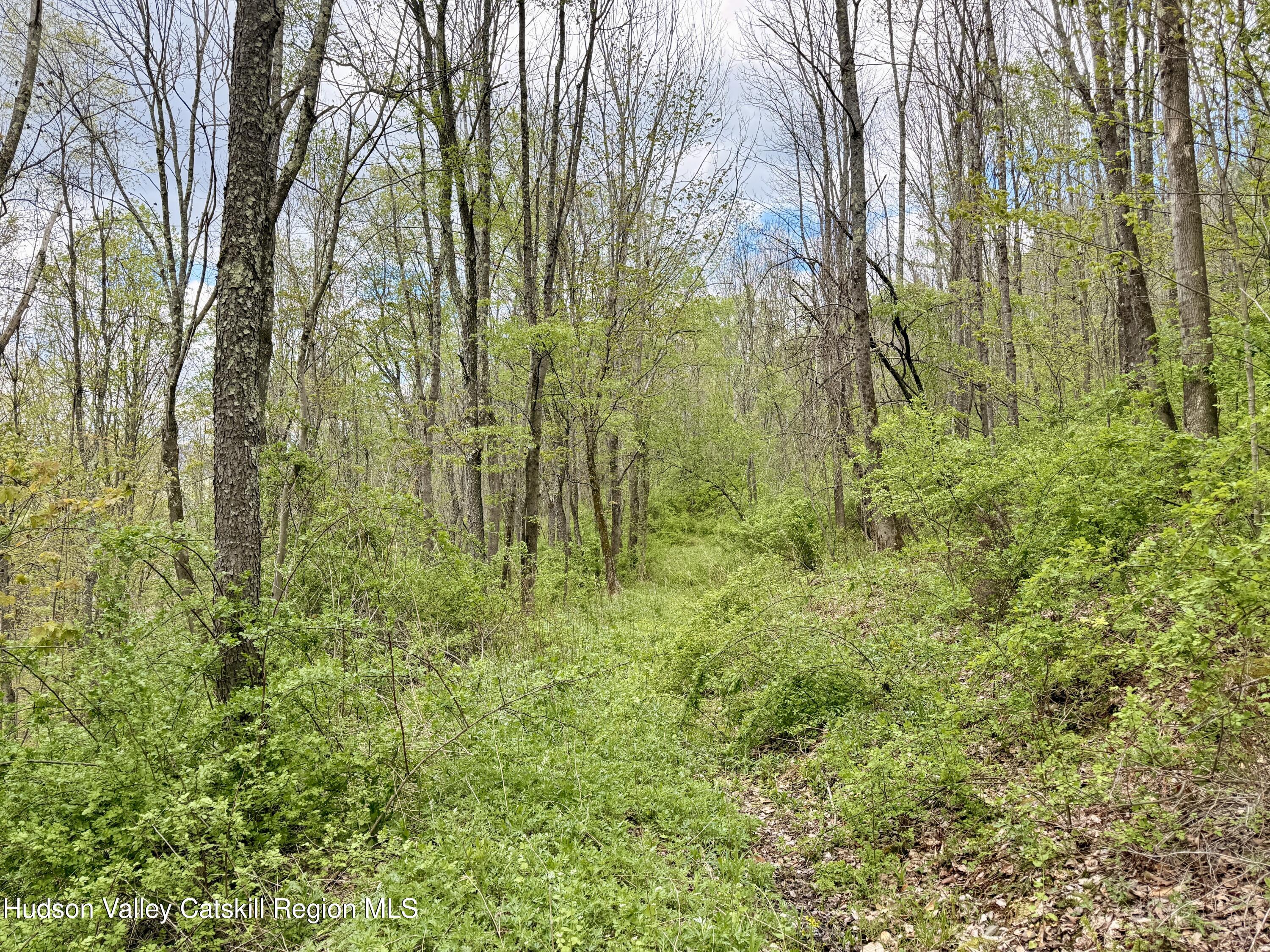 30 Harter Road West Kill, NY 12492 - Photo 19 of 31 IMG_1014 2