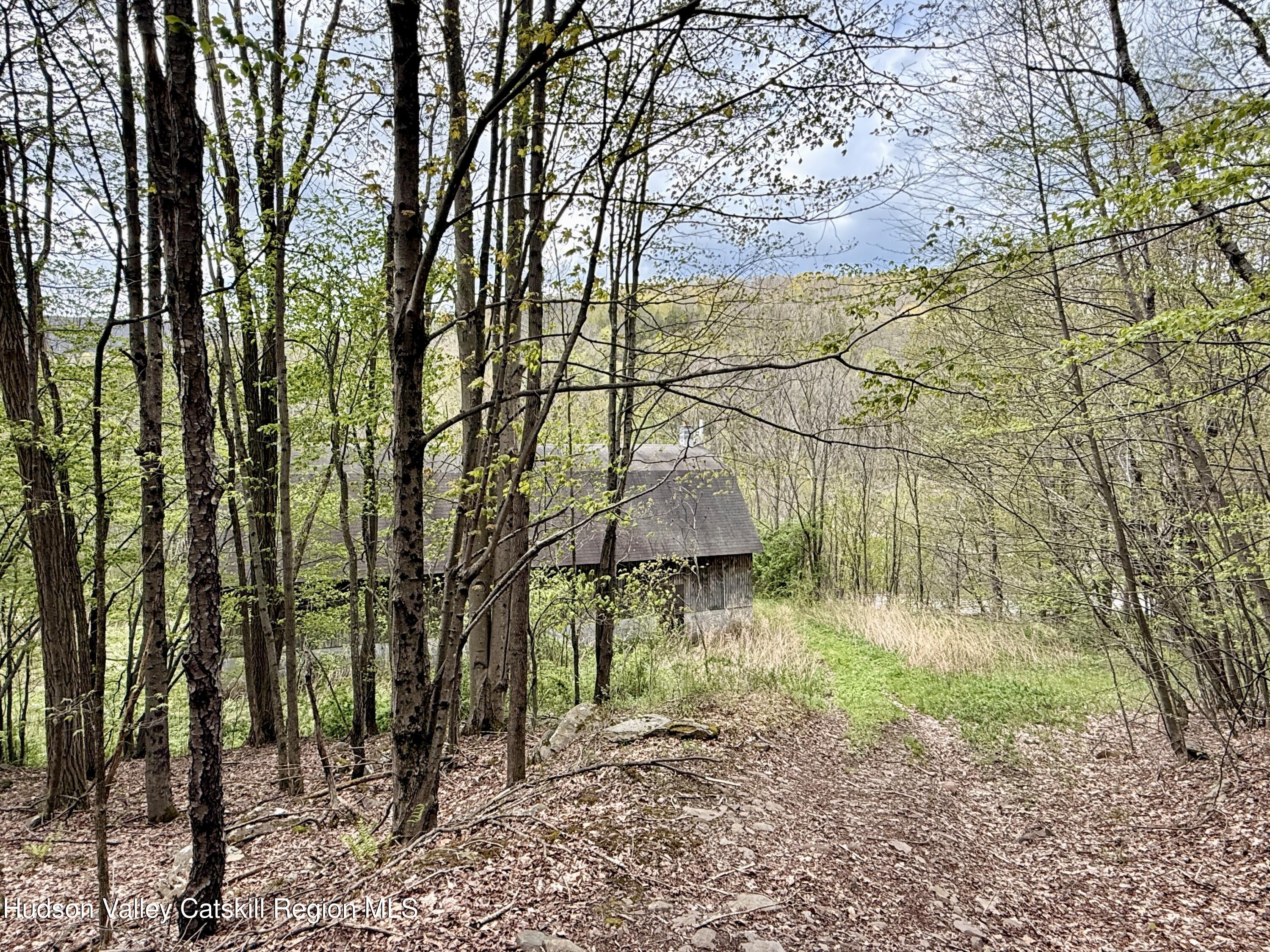 30 Harter Road West Kill, NY 12492 - Photo 20 of 31 a backyard of a house with lots of trees