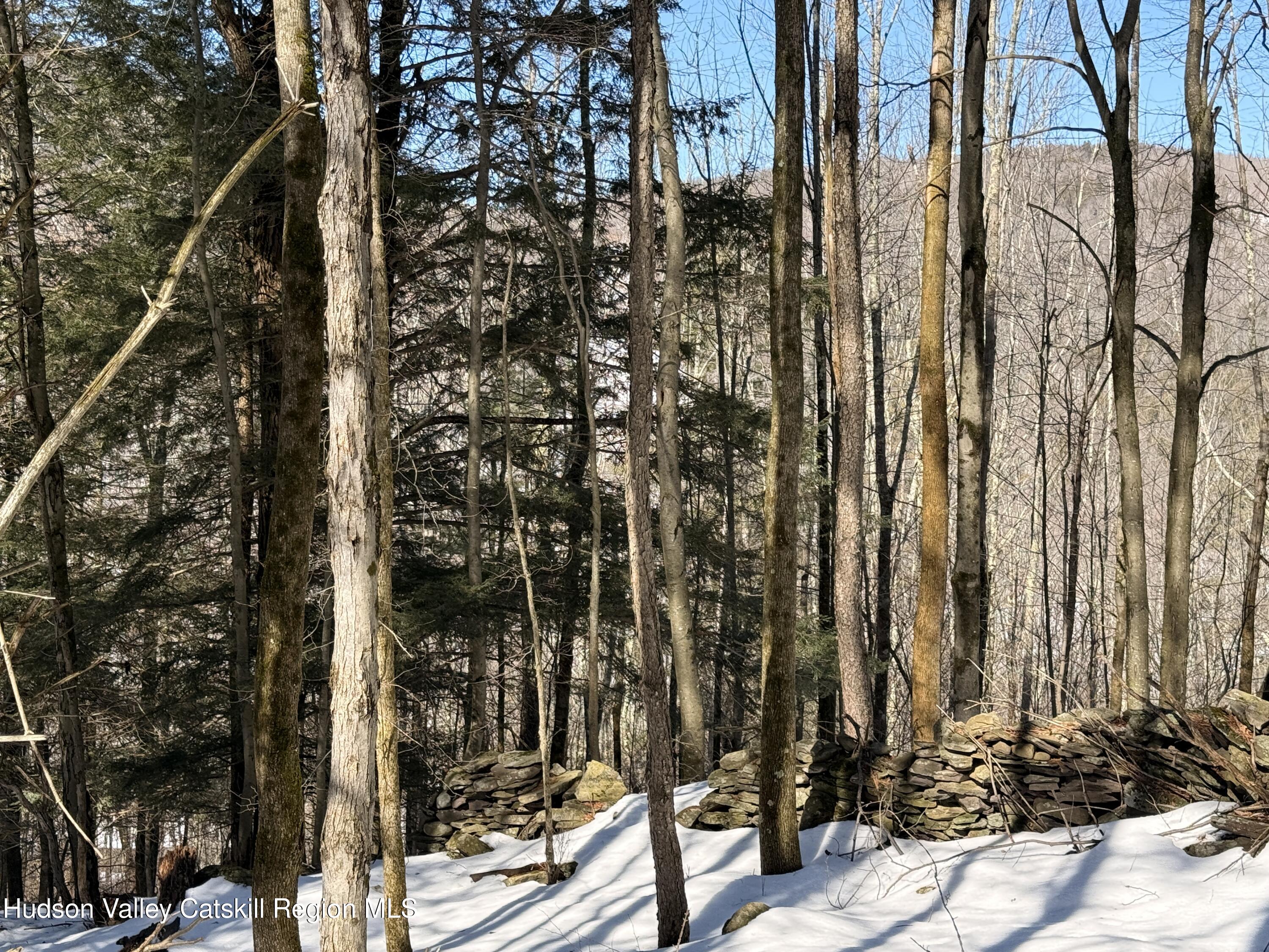 30 Harter Road West Kill, NY 12492 - Photo 20 of 32 a view of a pathway of a building