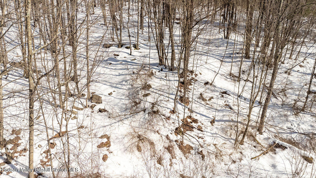 30 Harter Road West Kill, NY 12492 - Photo 21 of 32 a view of lot of snow with tall trees