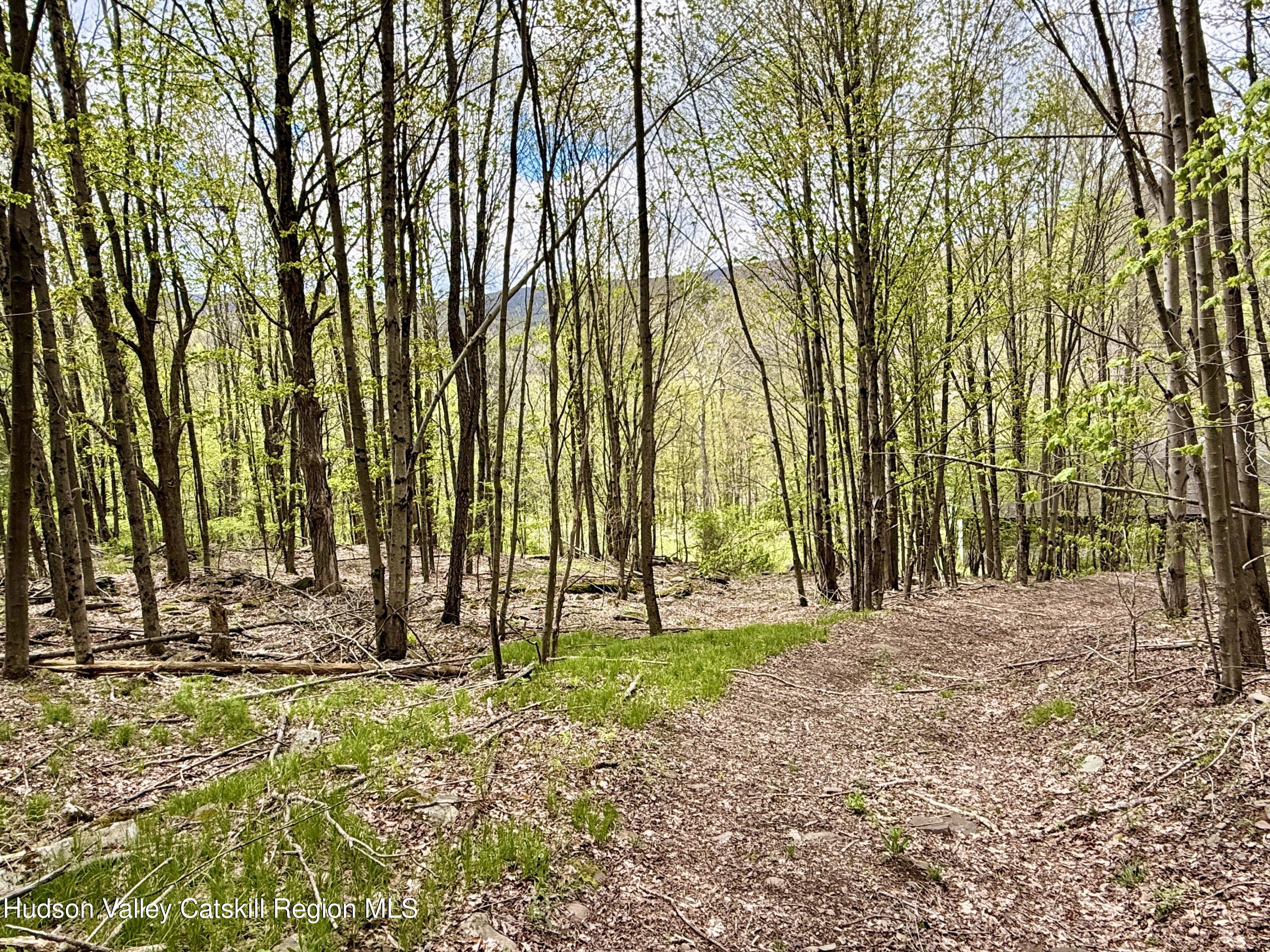 30 Harter Road West Kill, NY 12492 - Photo 21 of 31 a backyard of a house with lots of green space