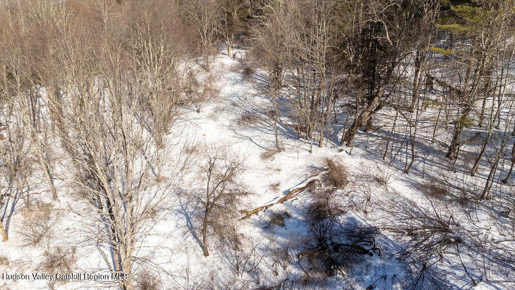 30 Harter Road West Kill, NY 12492 - Photo 22 of 32 a view of tree