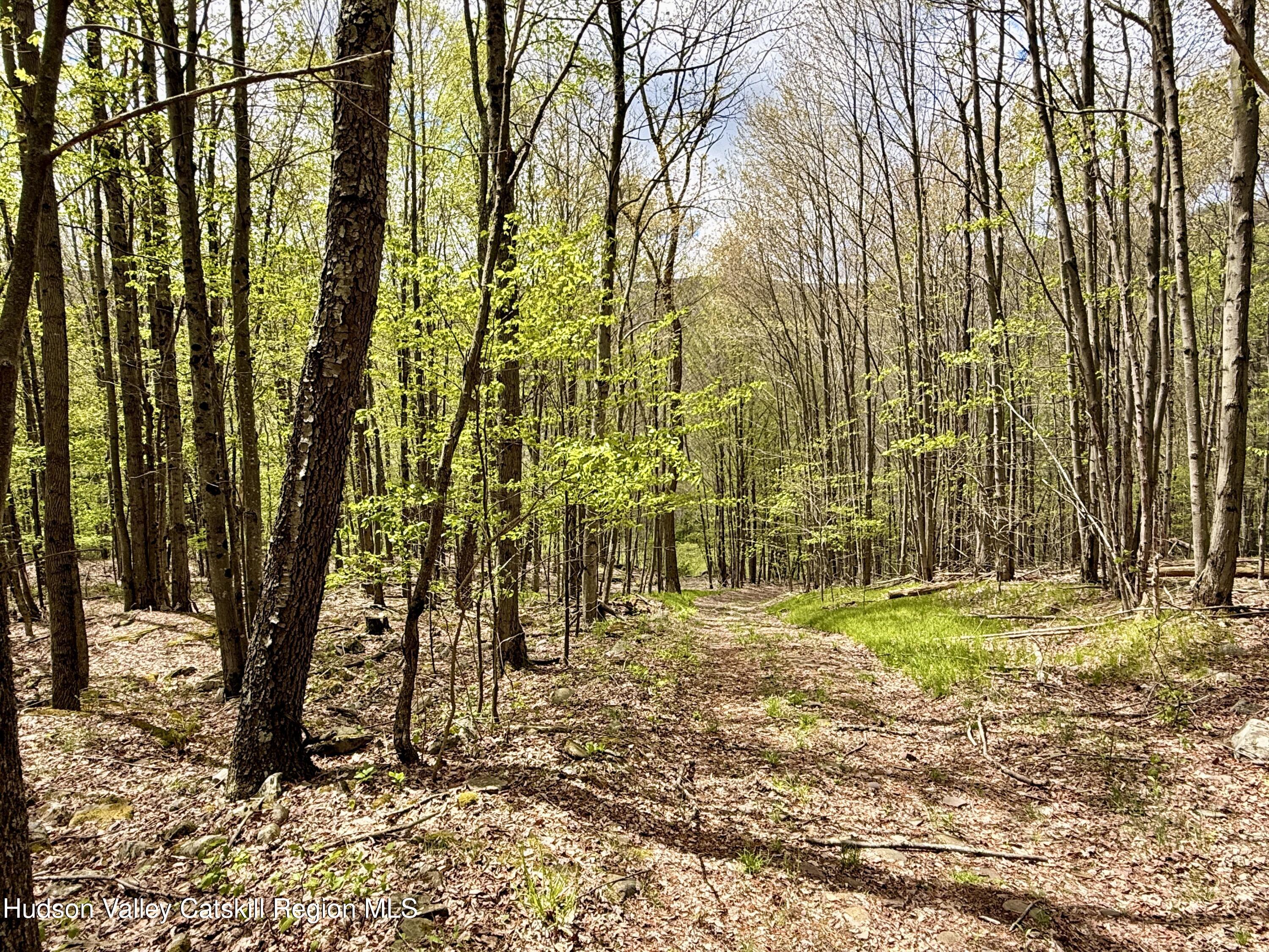 30 Harter Road West Kill, NY 12492 - Photo 22 of 31 IMG_1017