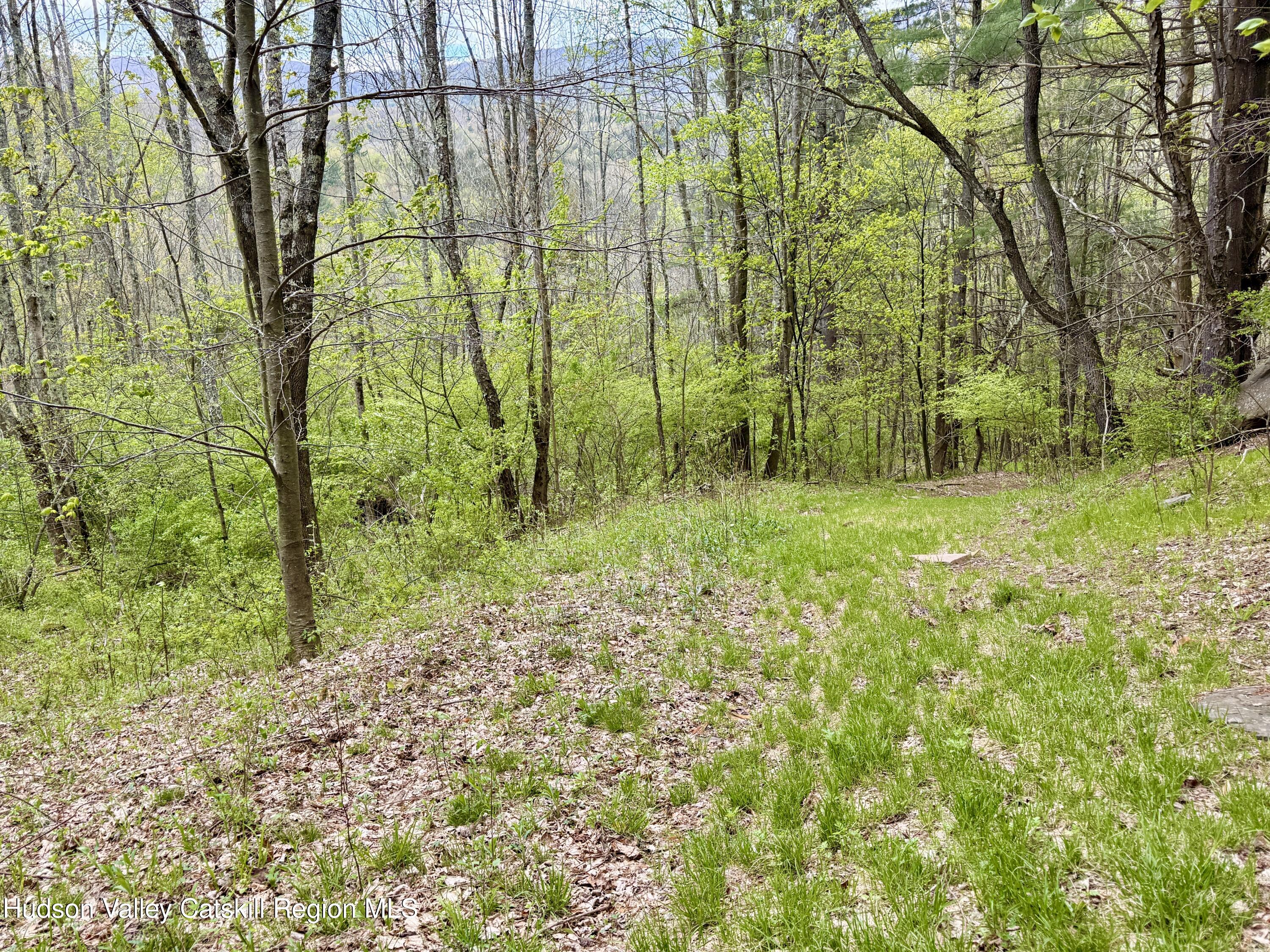 30 Harter Road West Kill, NY 12492 - Photo 23 of 31 a view of garden