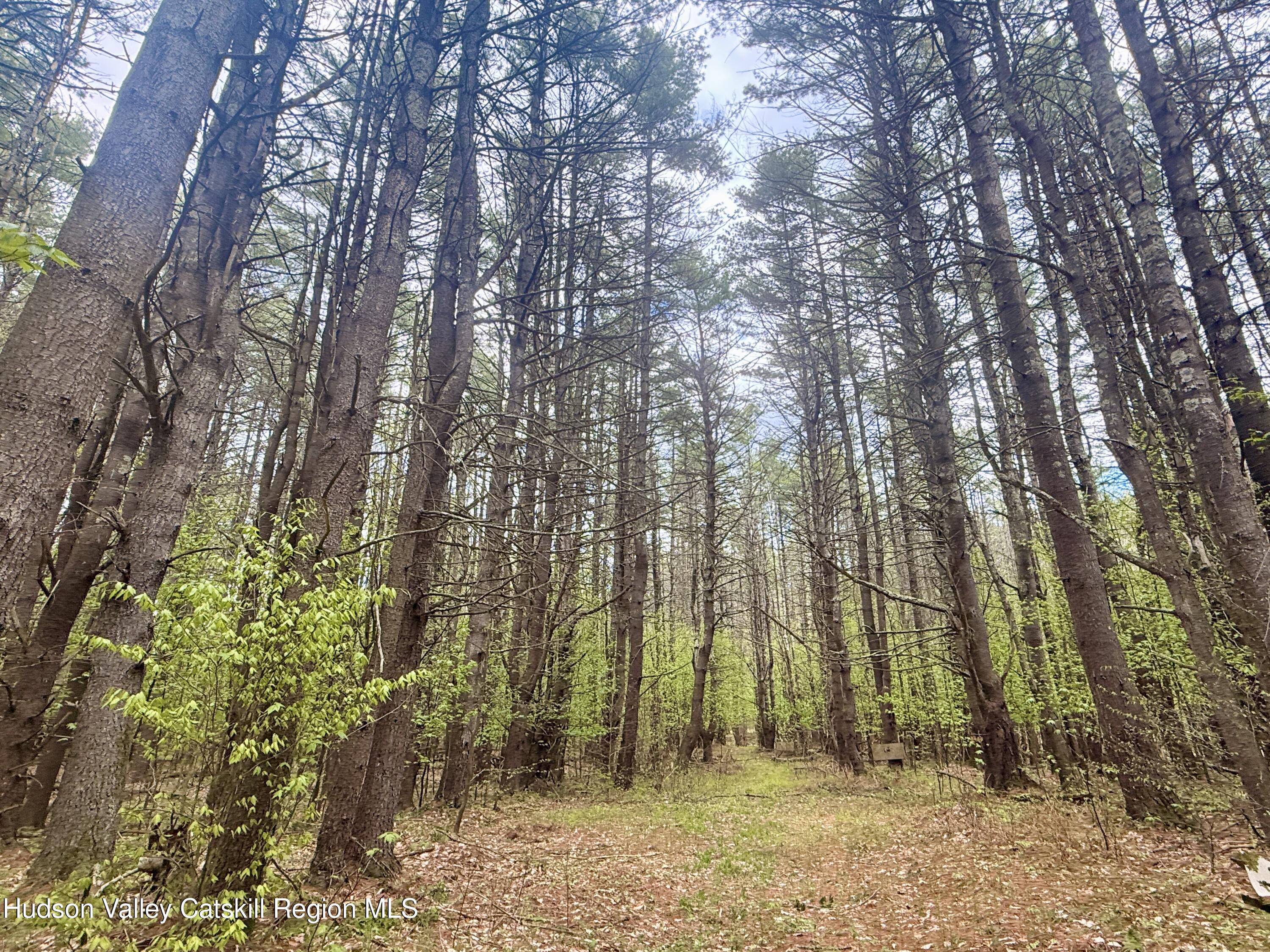 30 Harter Road West Kill, NY 12492 - Photo 24 of 31 IMG_1024 2