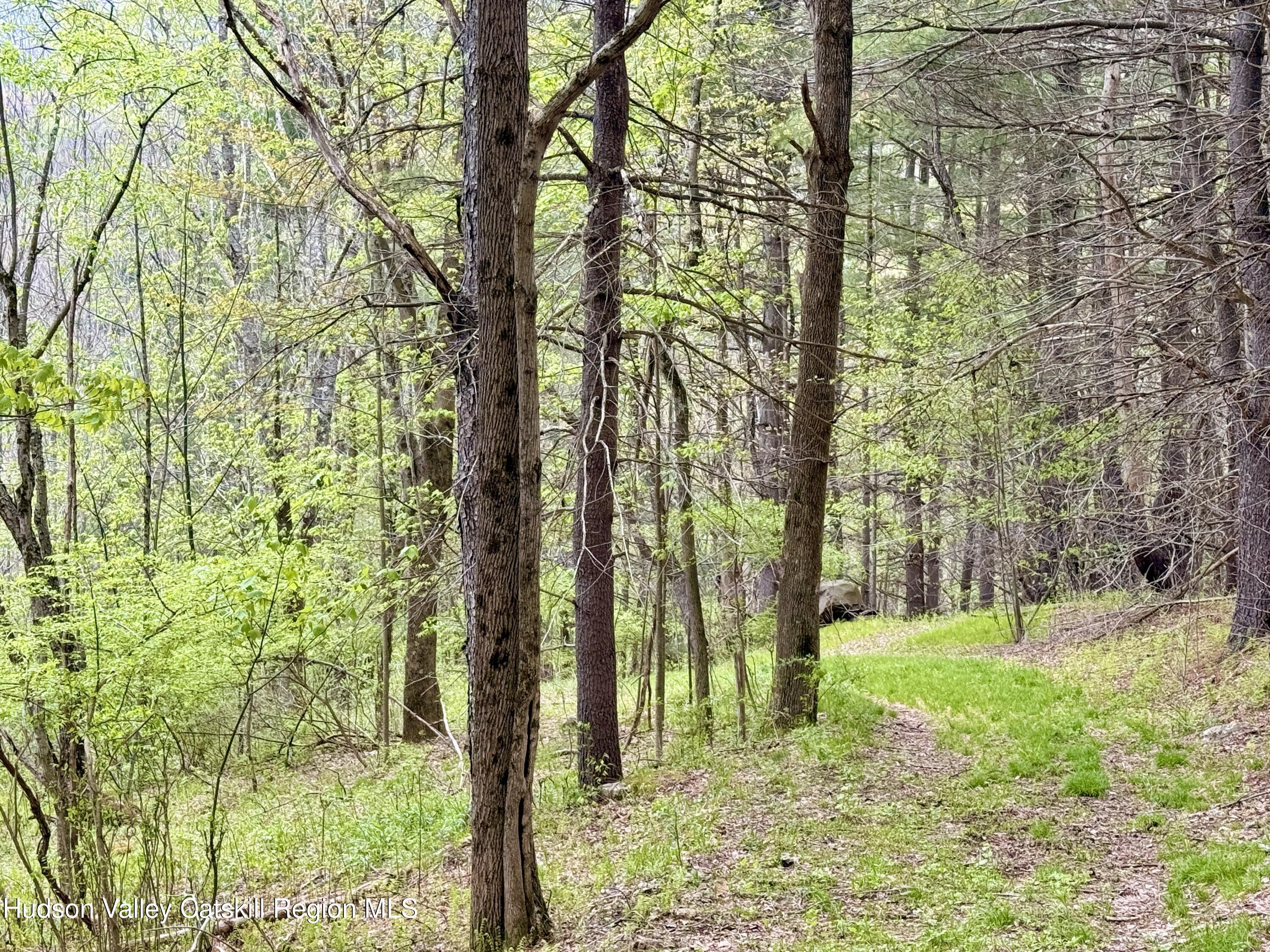 30 Harter Road West Kill, NY 12492 - Photo 25 of 31 a view of backyard with green space