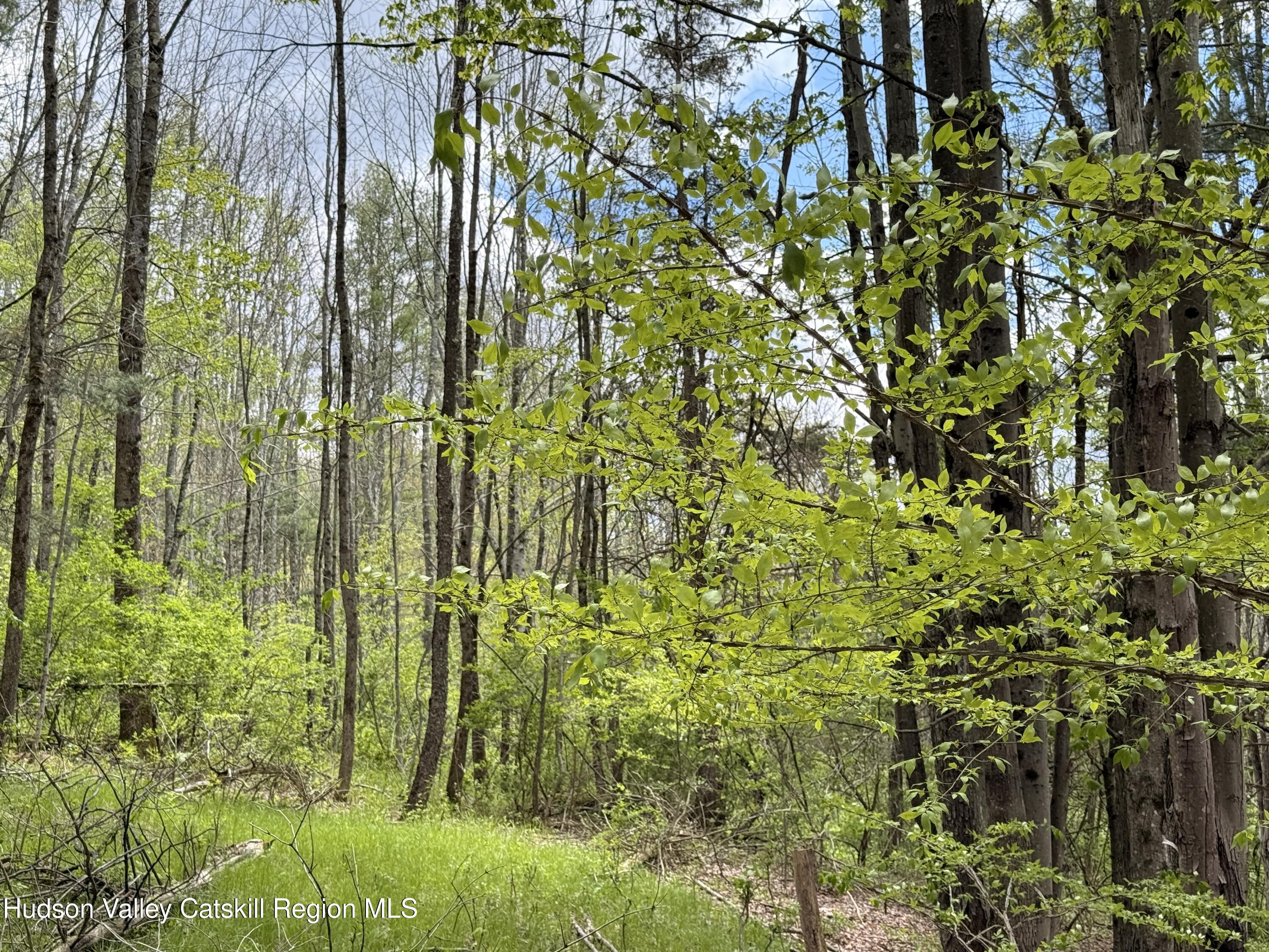 30 Harter Road West Kill, NY 12492 - Photo 26 of 31 a view of garden