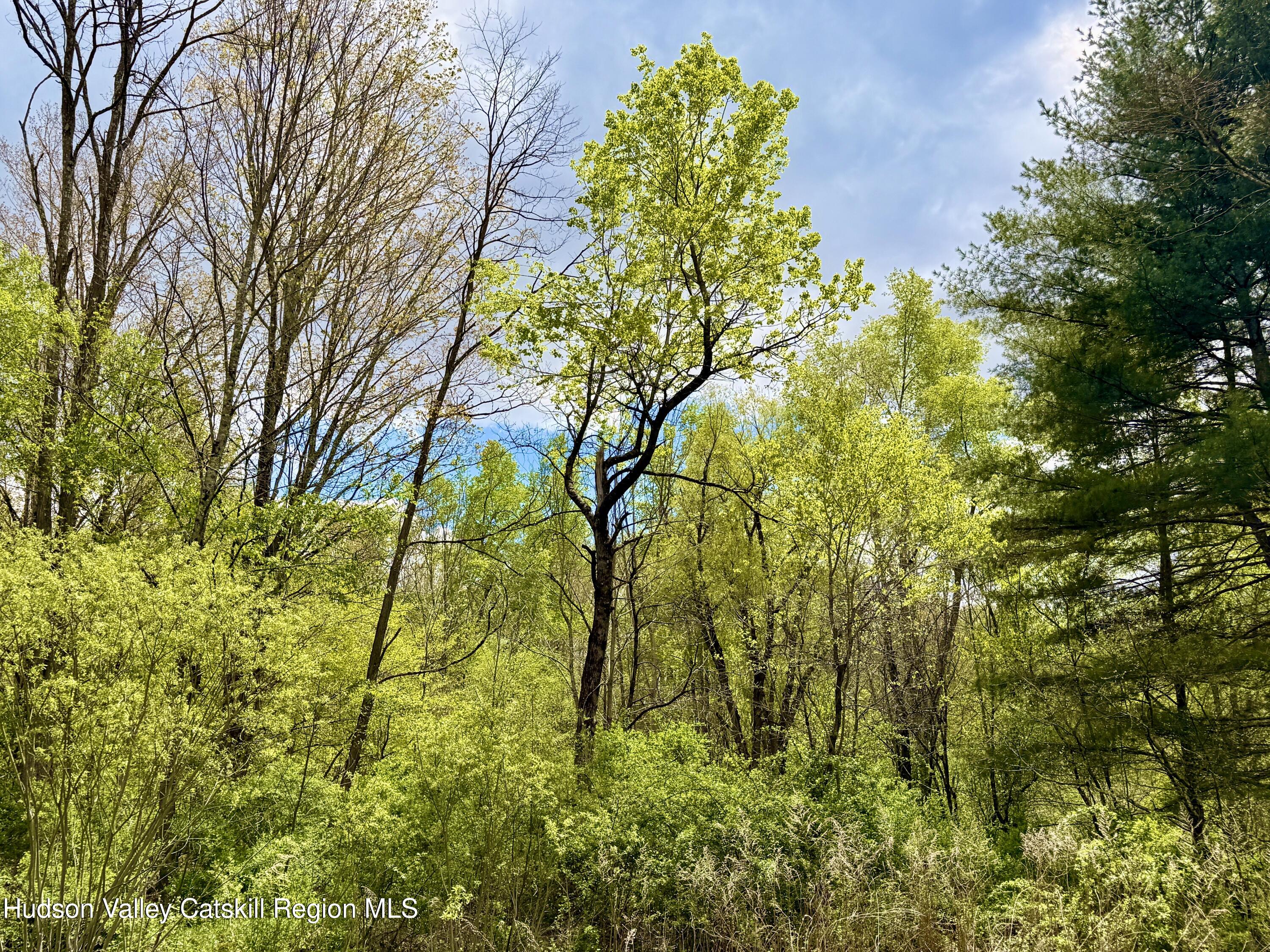 30 Harter Road West Kill, NY 12492 - Photo 27 of 31 IMG_1028 2