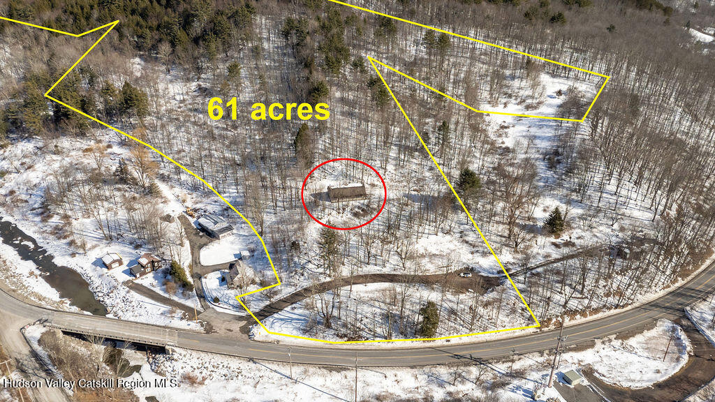 30 Harter Road West Kill, NY 12492 - Photo 30 of 32 a picture of a tree