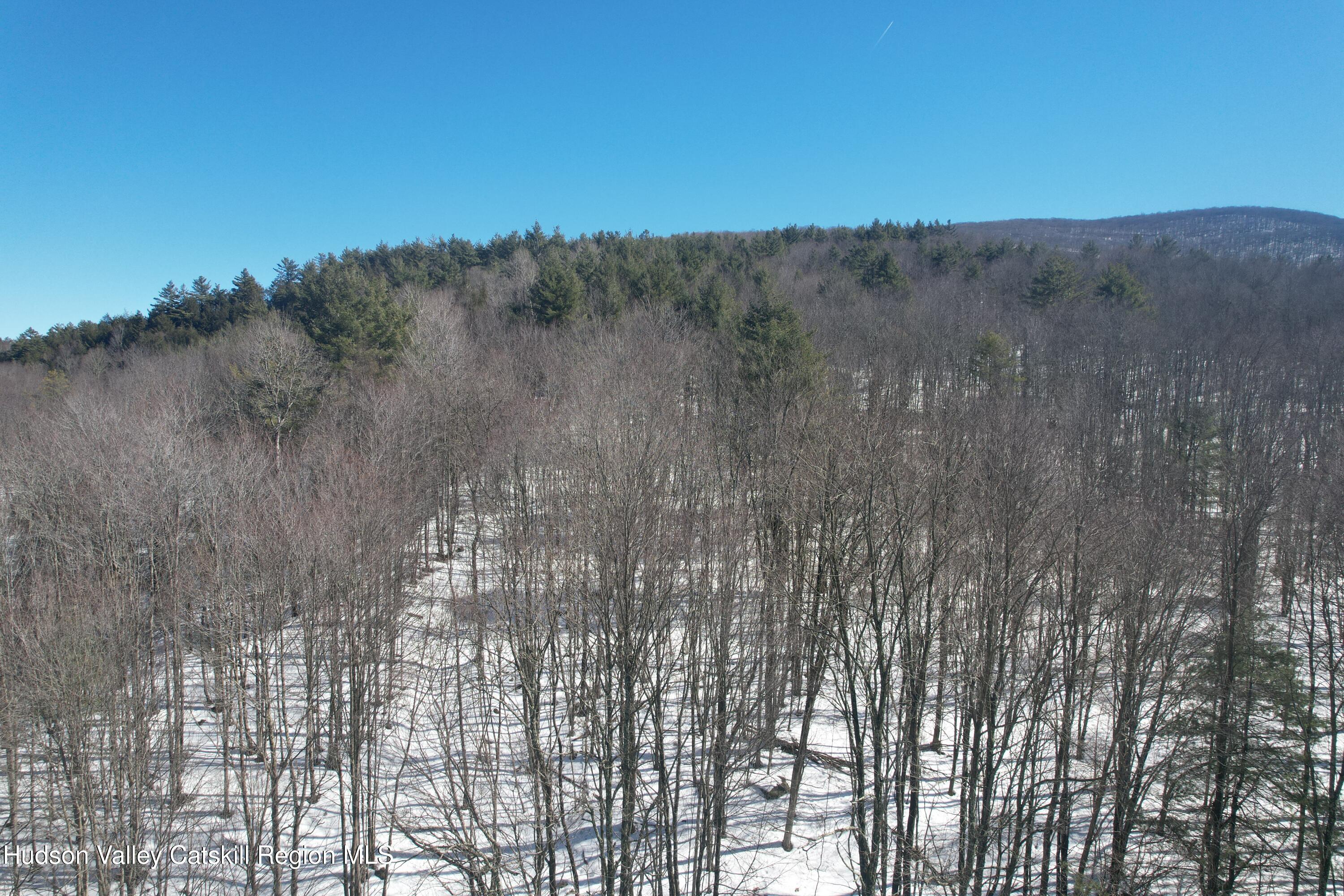 30 Harter Road West Kill, NY 12492 - Photo 3 of 32 a view of a city view