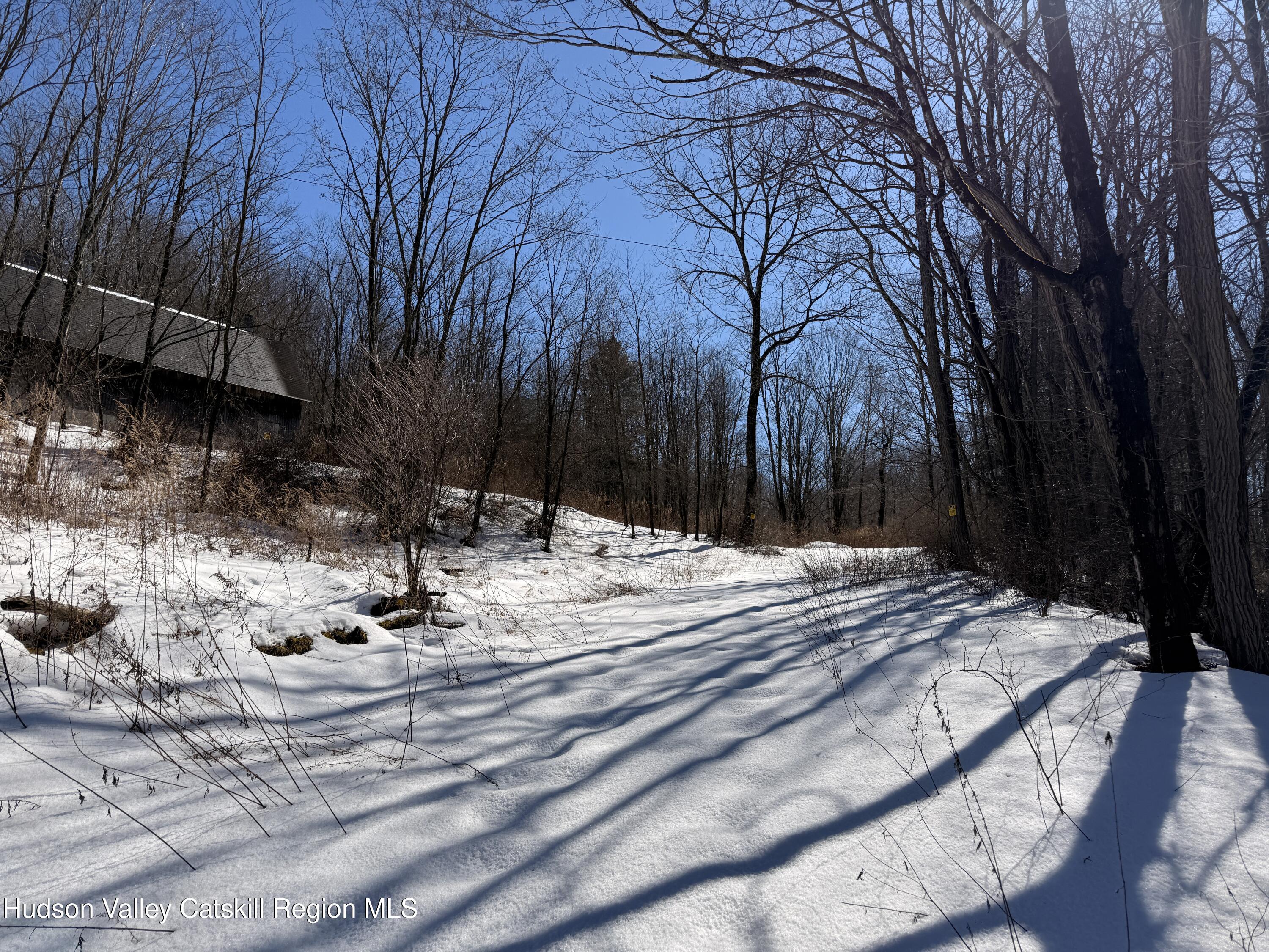 30 Harter Road West Kill, NY 12492 - Photo 5 of 32 a view of a backyard with snow