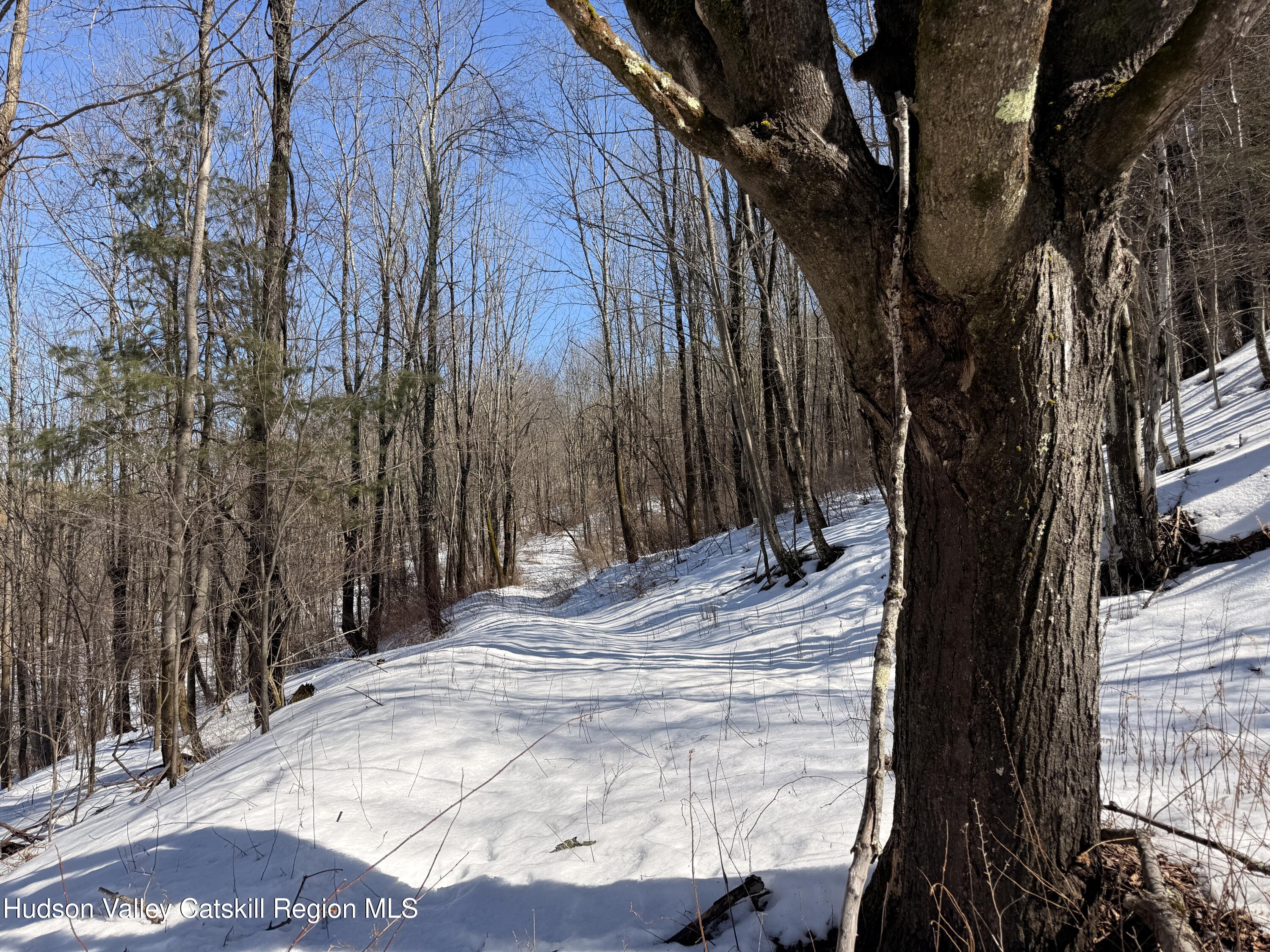 30 Harter Road West Kill, NY 12492 - Photo 9 of 32 a view of a backyard of the house