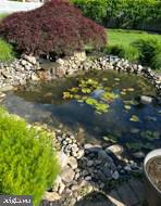 36 Lochatong Road Ewing, NJ 08628 - Photo 40 of 47 Pond