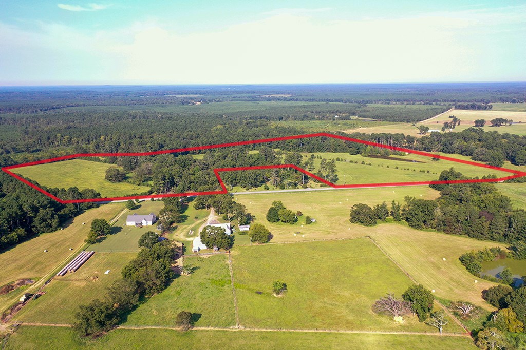 6163 Fruit Hill Road Saluda, SC 29138 - Photo 9 of 17 Gallery Image 9