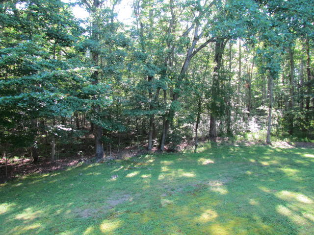 170 Foster Falls Road Sequatchie, TN 37374 - Photo 16 of 44 Back Yard