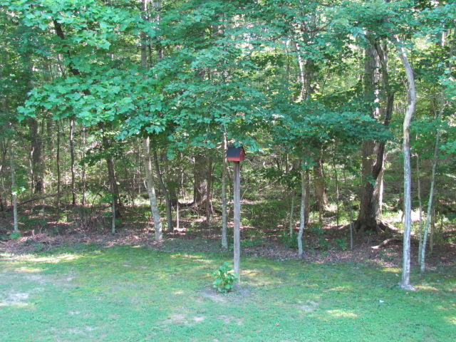 170 Foster Falls Road Sequatchie, TN 37374 - Photo 22 of 44 Back Yard