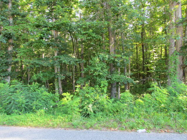 170 Foster Falls Road Sequatchie, TN 37374 - Photo 44 of 44 View from Road