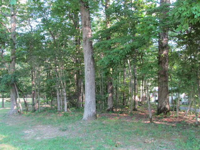 170 Foster Falls Road Sequatchie, TN 37374 - Photo 9 of 44 Entrance