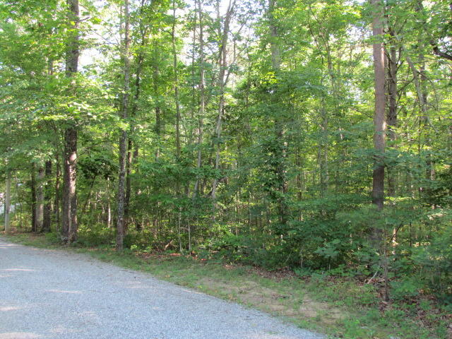 170 Foster Falls Road Sequatchie, TN 37374 - Photo 10 of 44 Entrance
