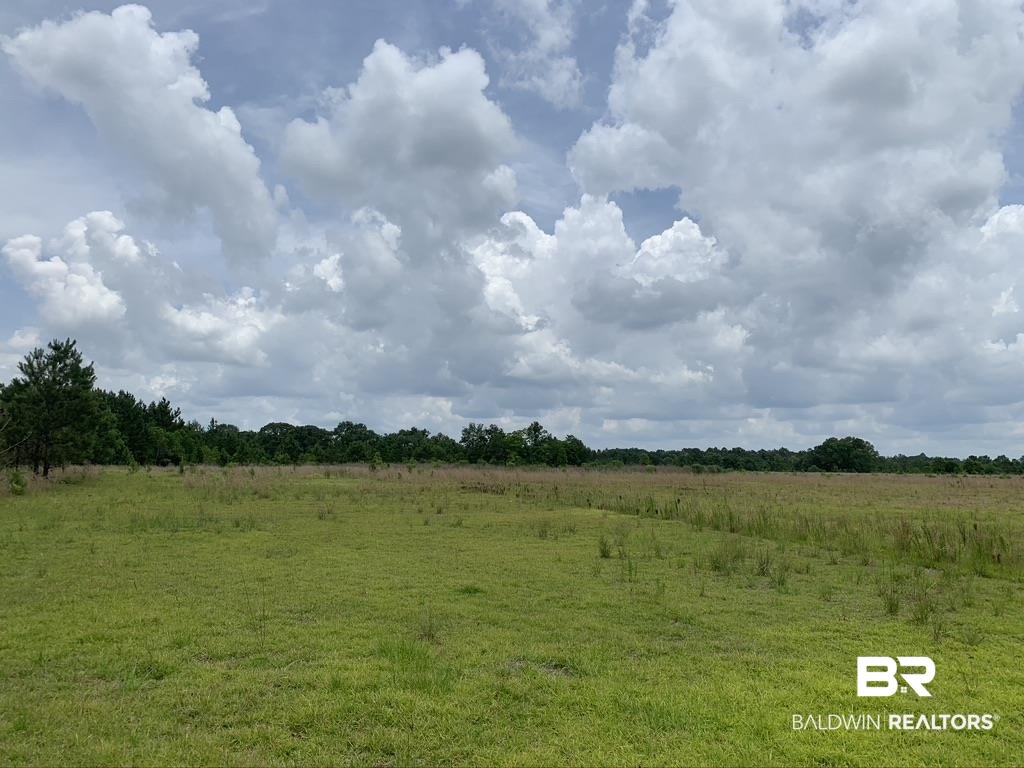 0 Box Road Semmes, AL 36575 - Photo 2 of 5