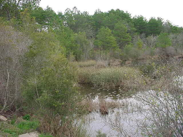 0 Happy Hollow Road Freeport, FL 32439 - Photo 1 of 1 Gallery Image 1