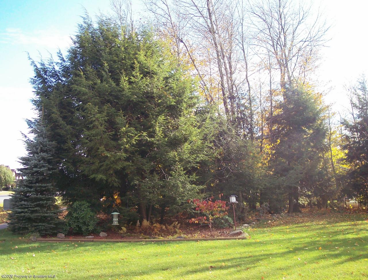 909 Old Logger Road Moscow, PA 18444 - Photo 14 of 16 Gallery Image 14