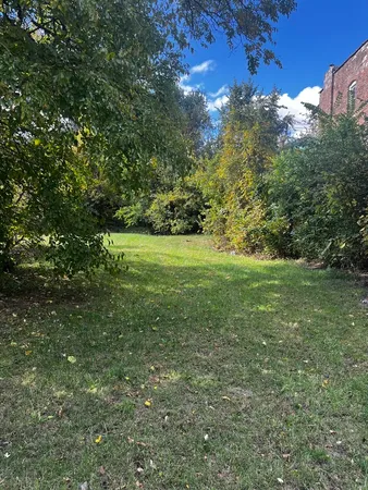a view of a field with a tree