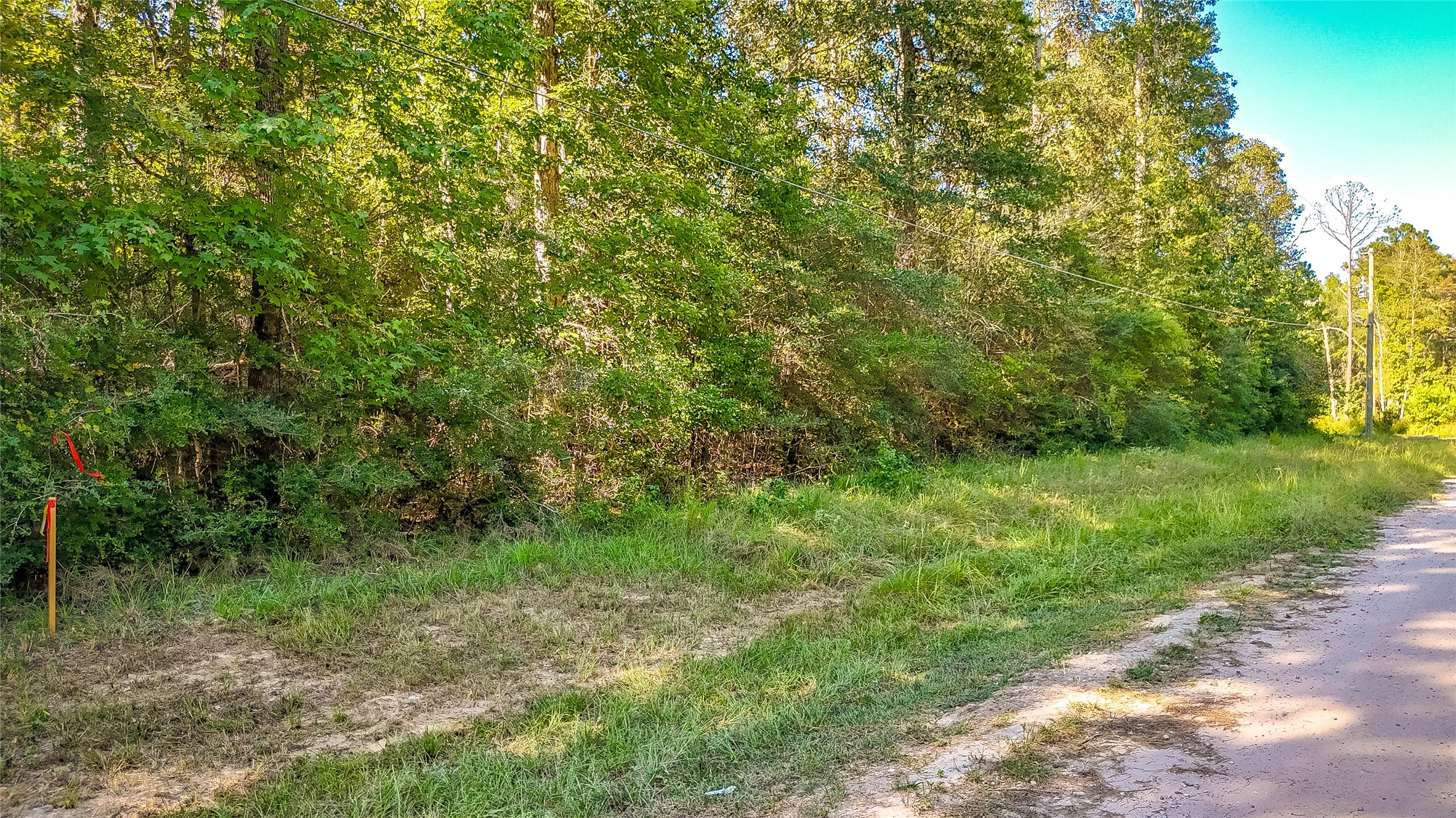 28 Timbergrove Livingston, TX 77351 - Photo 2 of 8 a view of a lush green forest