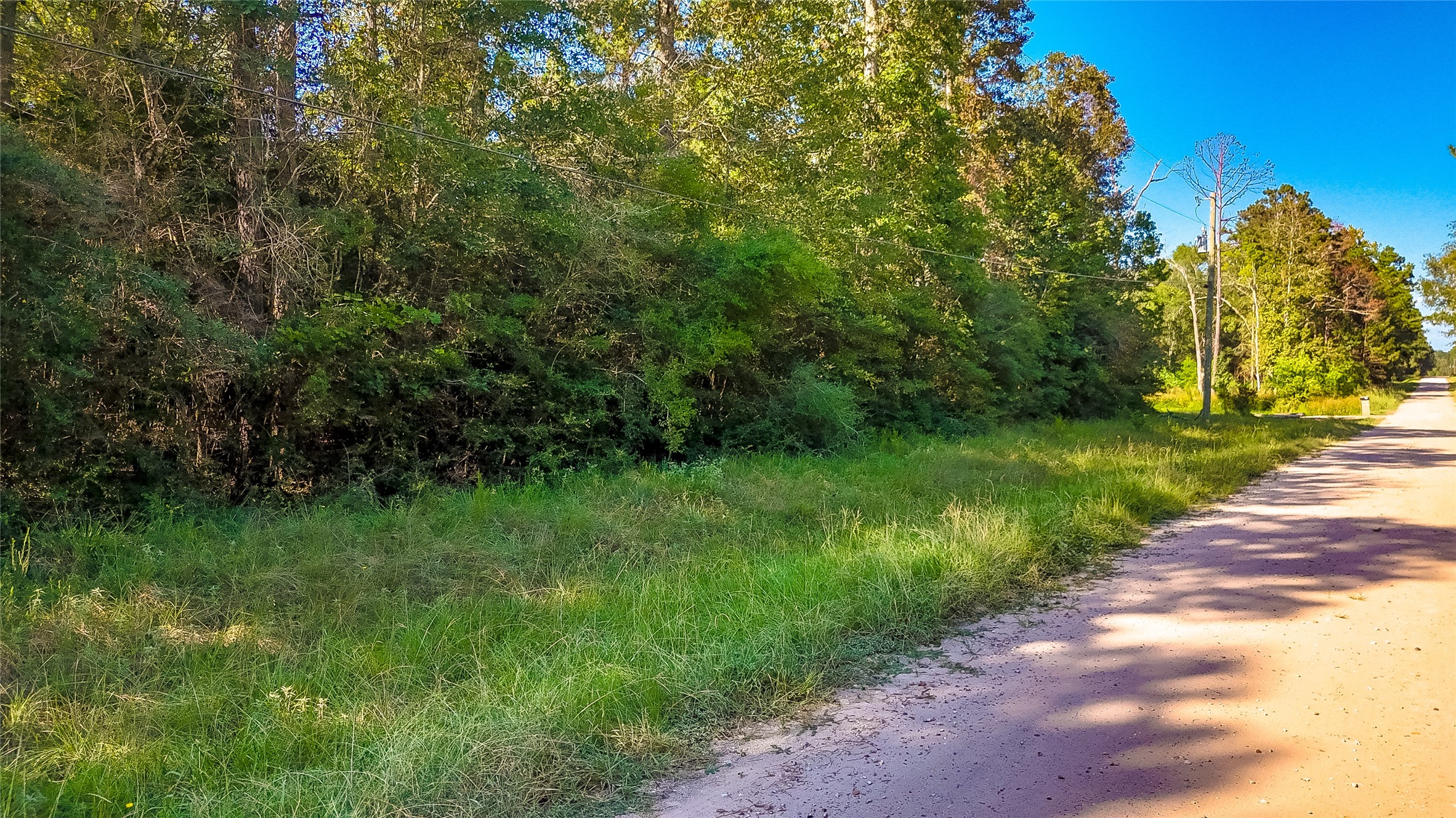 28 Timbergrove Livingston, TX 77351 - Photo 4 of 8 a view of a garden