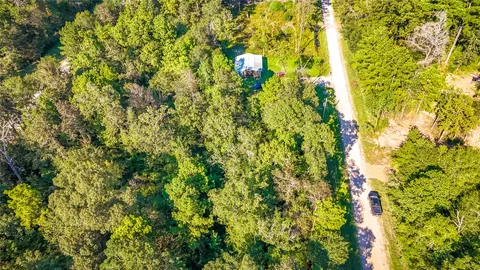 a close up of a tree