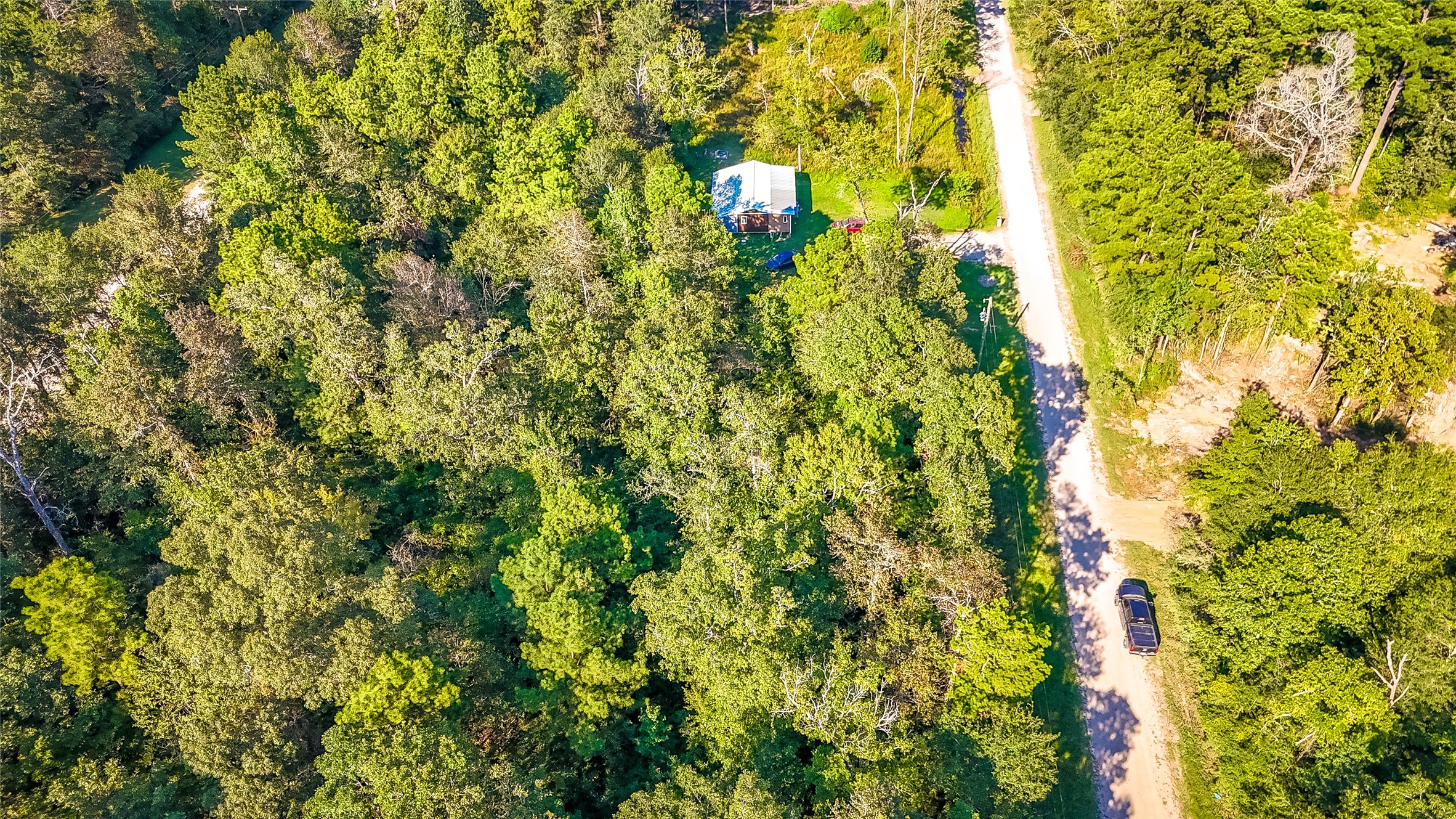 28 Timbergrove Livingston, TX 77351 - Photo 5 of 8 a close up of a tree