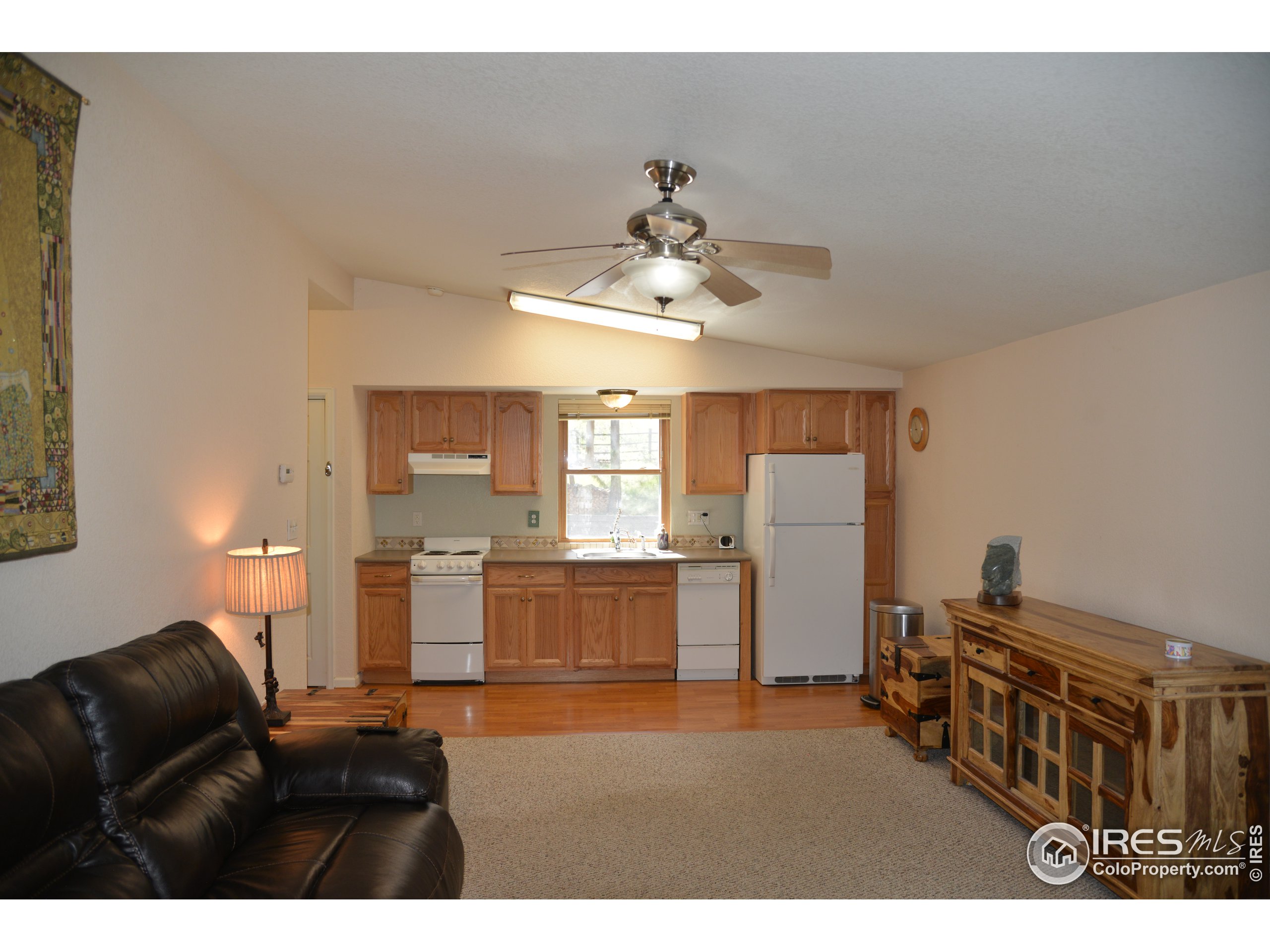 3255 Nova Road Pine, CO 80470 - Photo 18 of 39