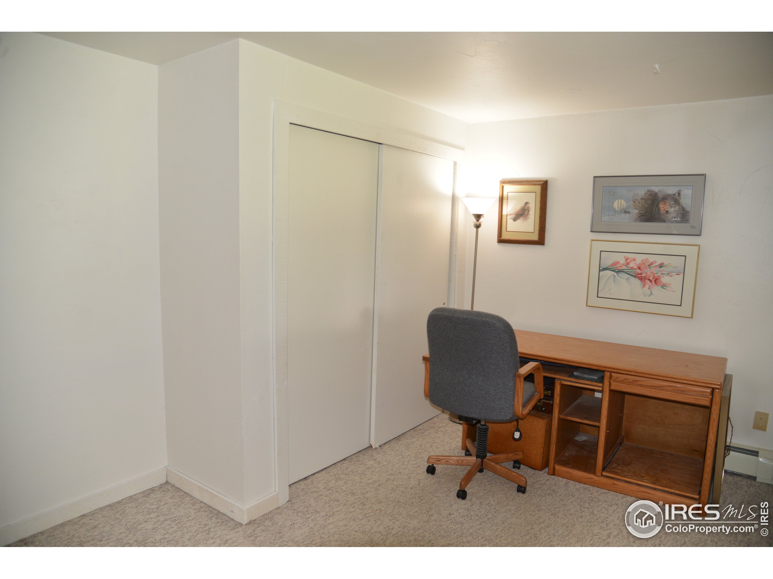 3255 Nova Road Pine, CO 80470 - Photo 36 of 39