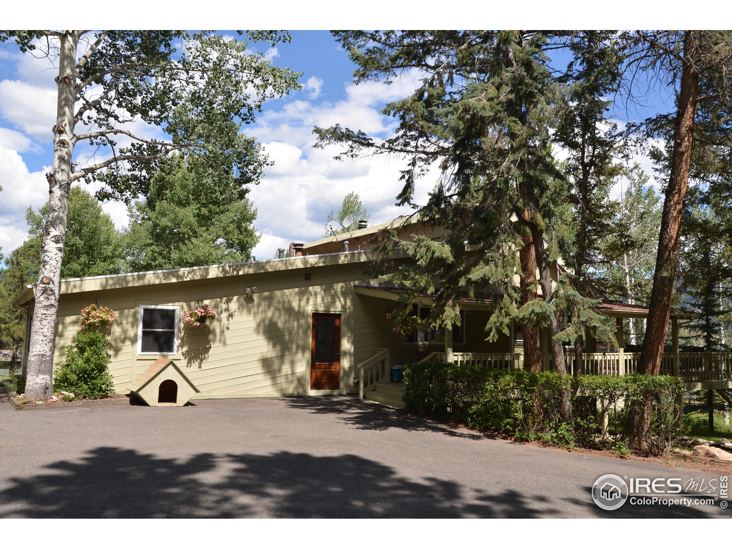 3255 Nova Road Pine, CO 80470 - Photo 5 of 39