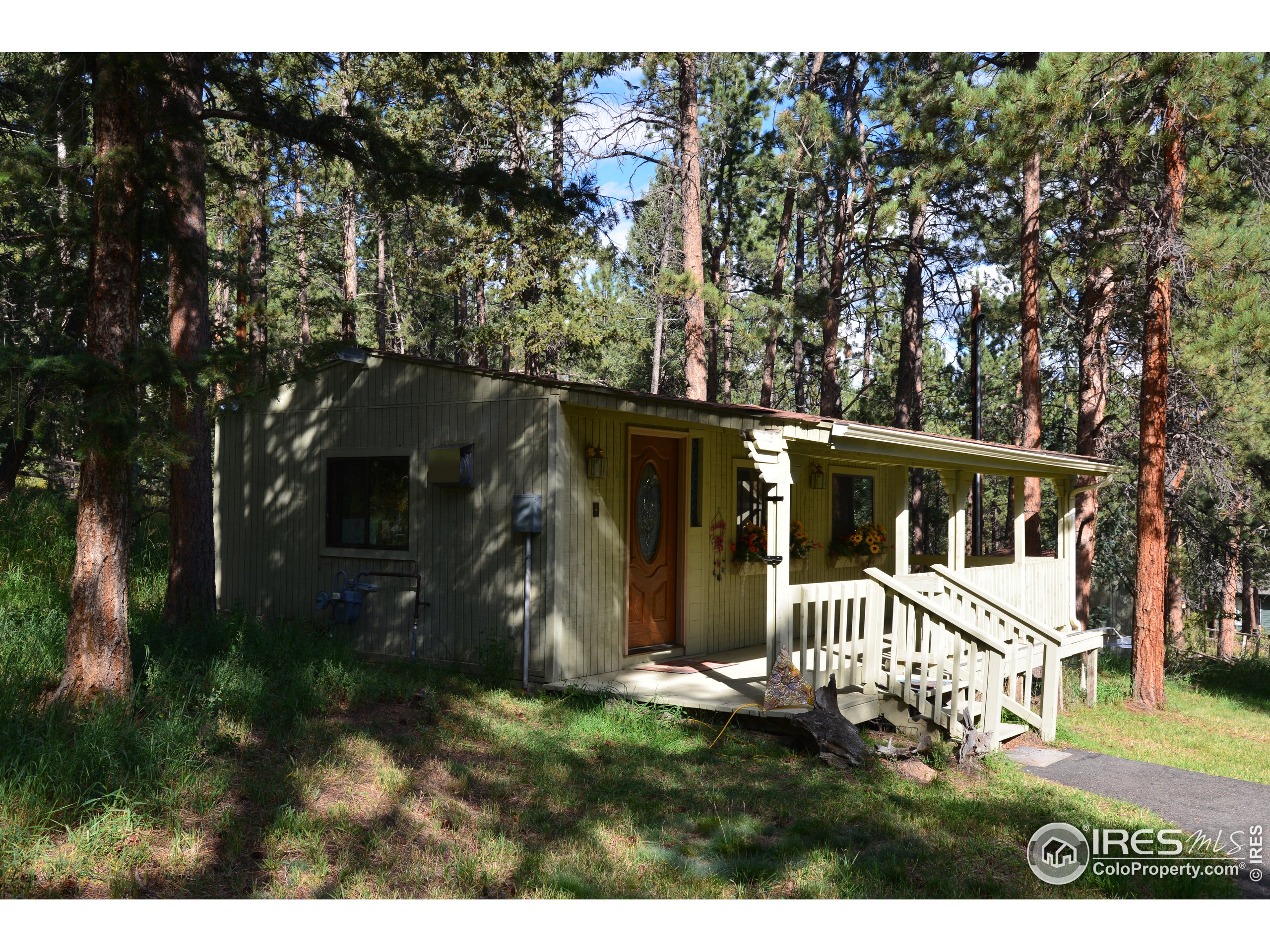 3255 Nova Road Pine, CO 80470 - Photo 7 of 39