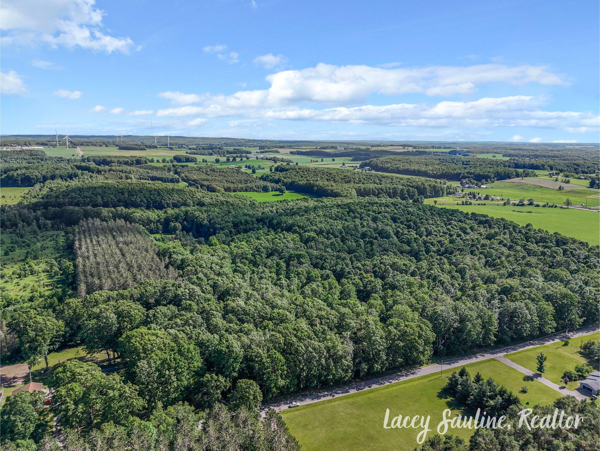 West Finkle Road Cadillac, MI 49601 - Photo 6 of 21 3