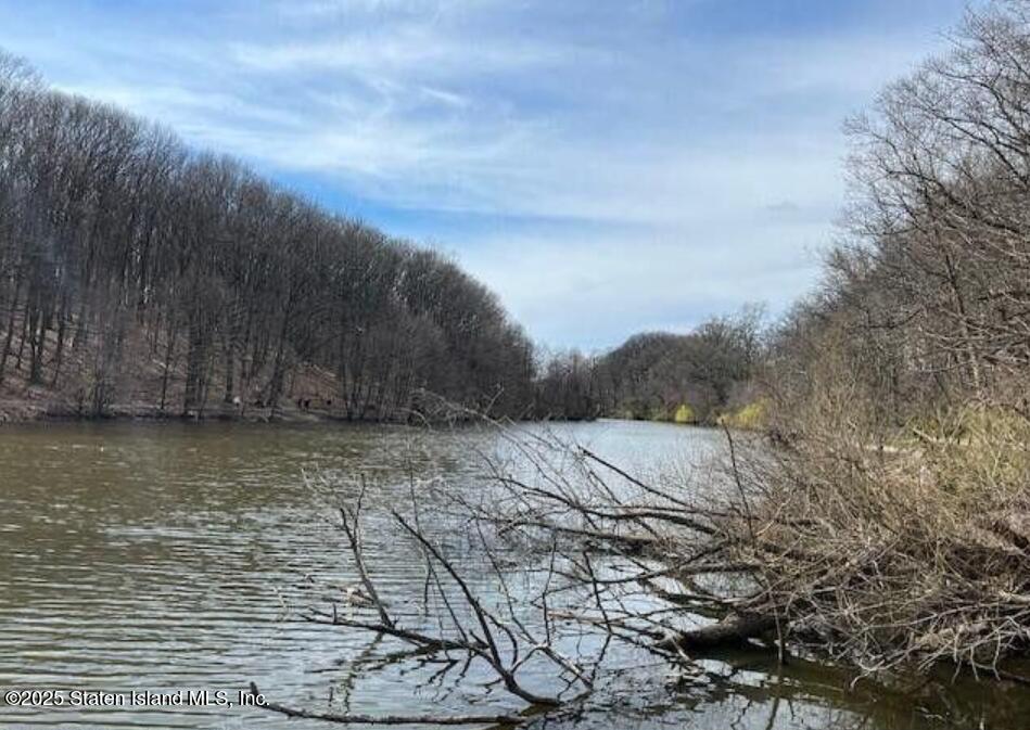 1100 Clove Road, Unit 3C Staten Island, NY 10301 - Photo 38 of 42 Clove Lake Park