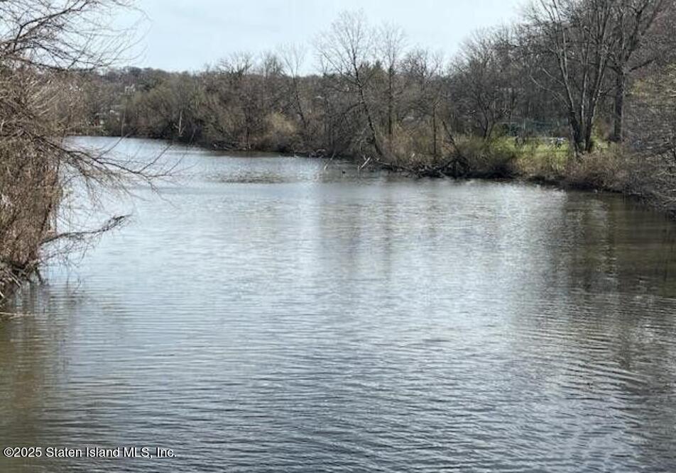 1100 Clove Road, Unit 3C Staten Island, NY 10301 - Photo 39 of 42 Clove Lake Park