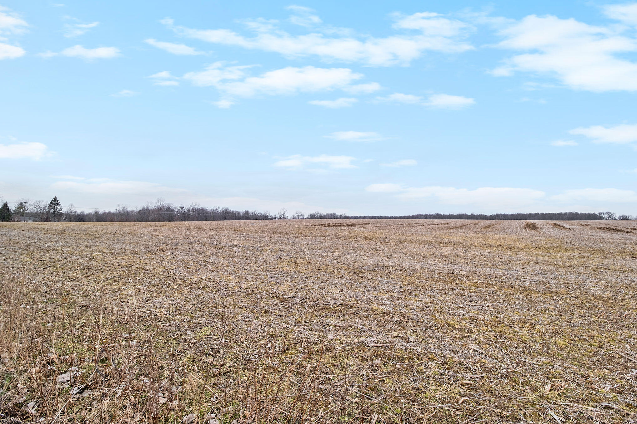 Vl North Fiske Road Coldwater, MI 49036 - Photo 2 of 10 DSCF7791