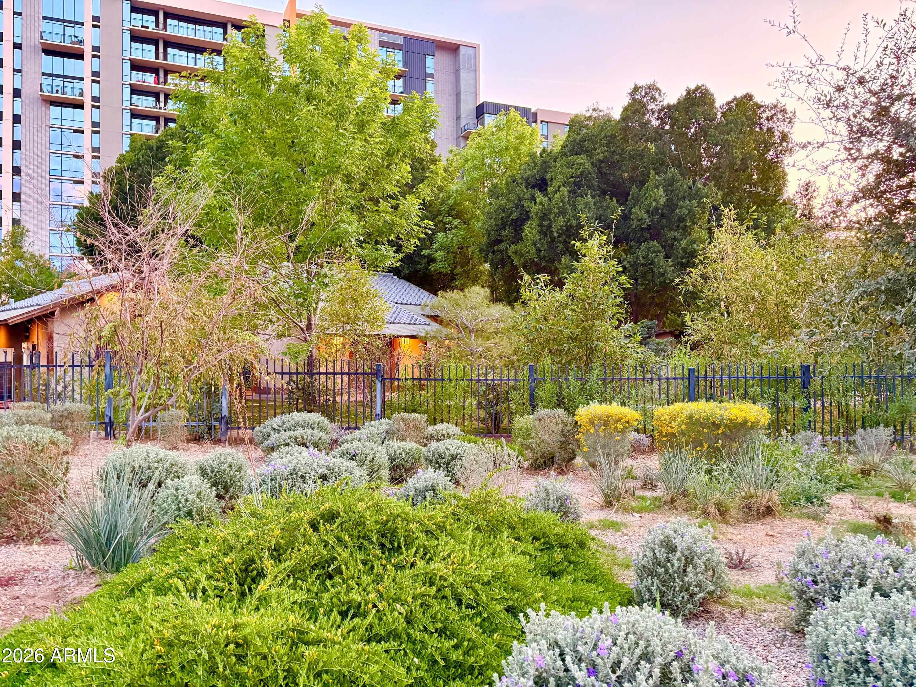 208 West Portland Street, Unit 155 Phoenix, AZ 85003 - Photo 35 of 36 a view of a yard with plants and a building in the background