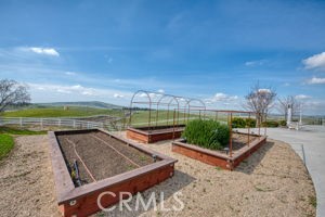 18300 Watts Valley Road Sanger, CA 93657 - Photo 45 of 50 Grow your own fresh vegetables in the comfort of your own backyard.