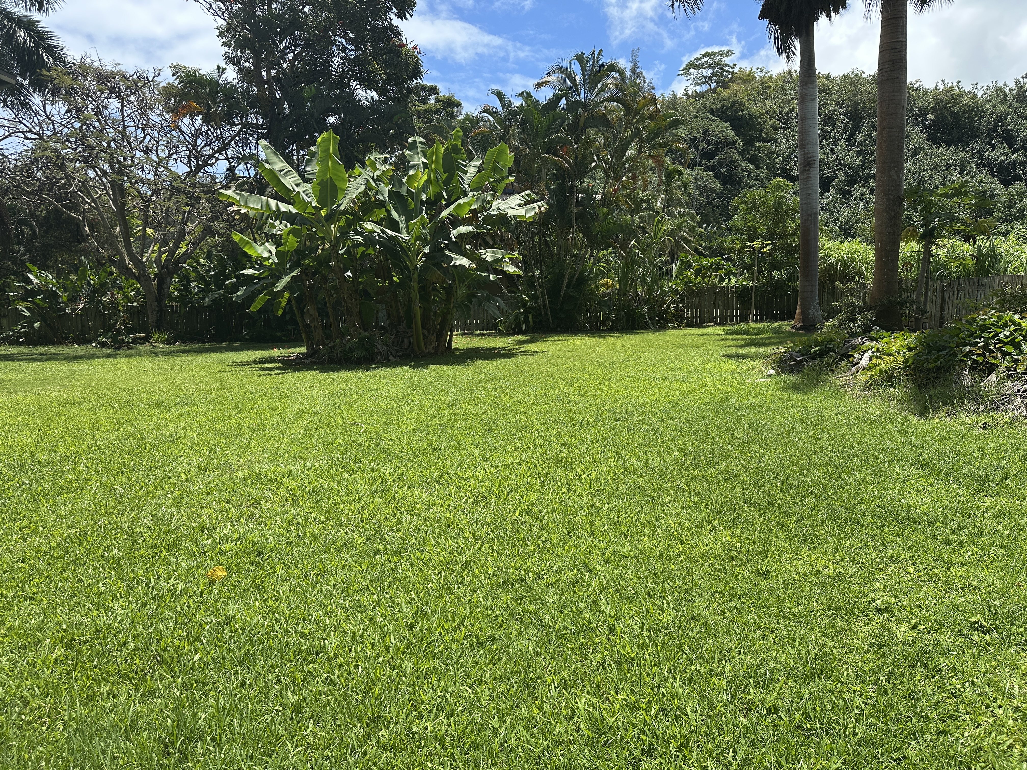 3557 Anini Road Princeville, HI 96722 - Photo 18 of 29 a view of a field of grass and trees