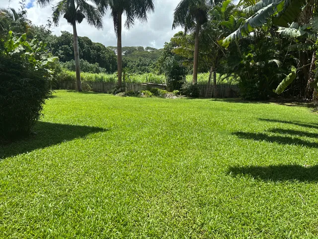 an aerial view of a houses with a yard and mountain view in back