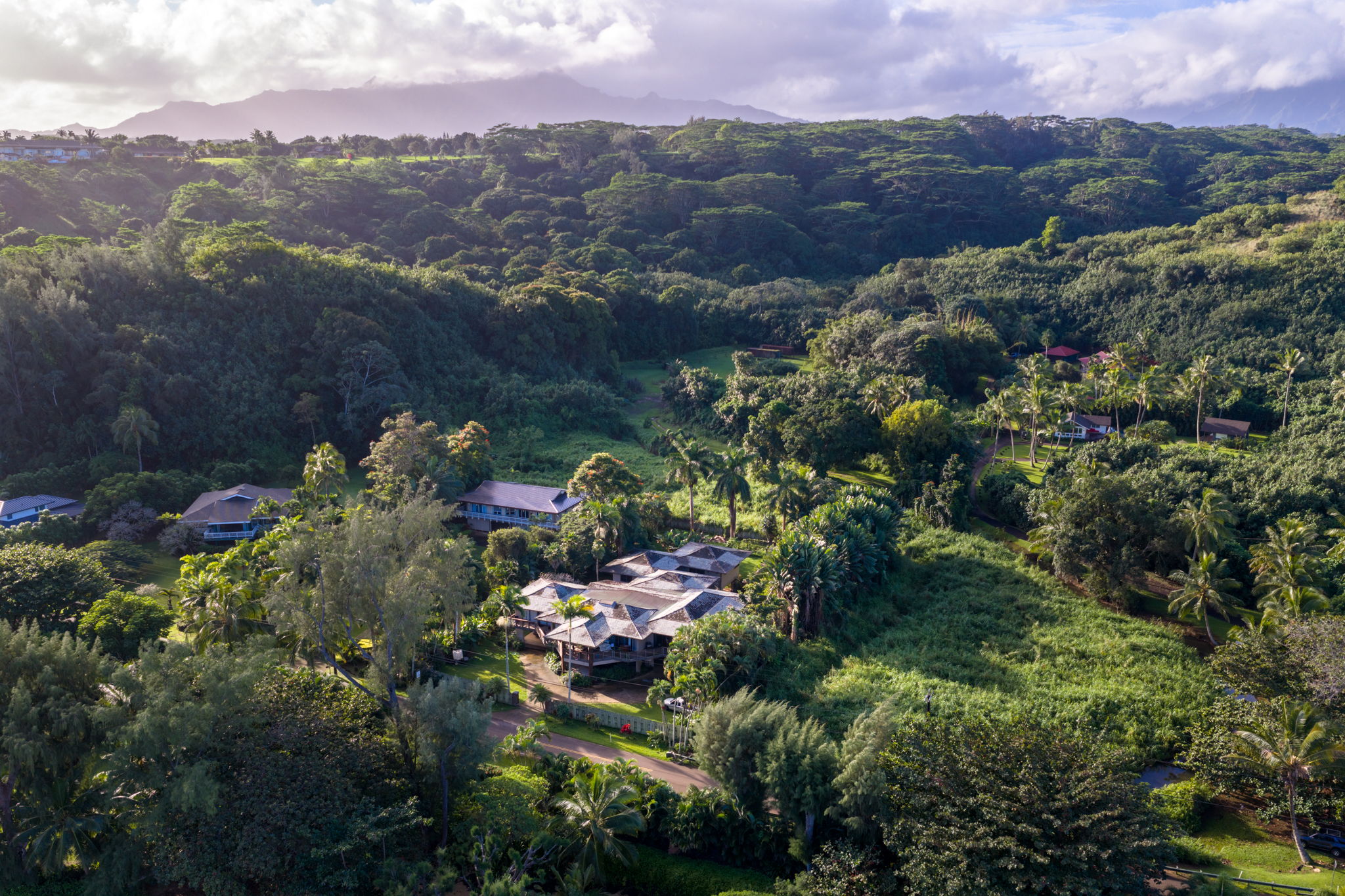 3557 Anini Road Princeville, HI 96722 - Photo 21 of 29 an aerial view of a houses with a yard