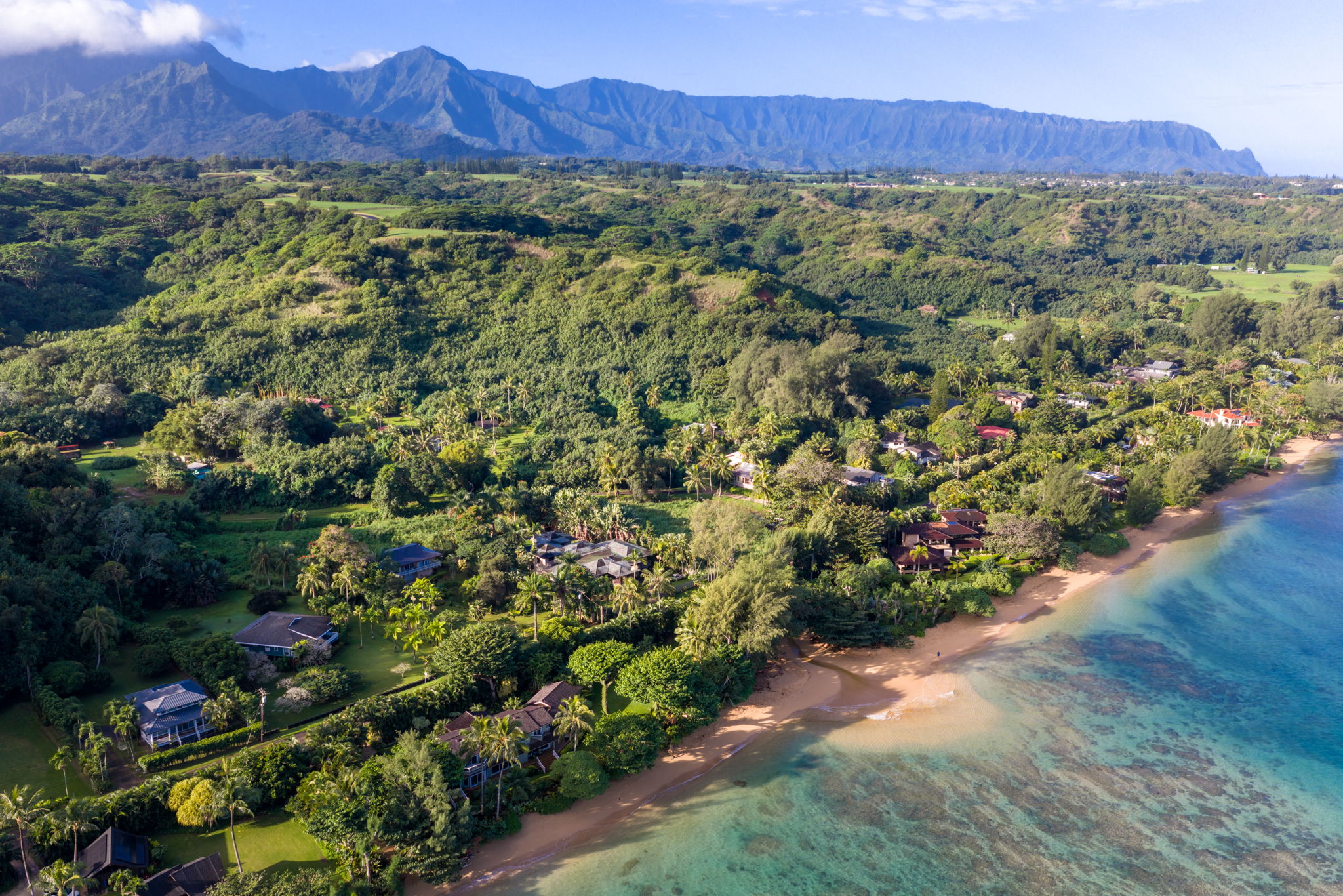 3557 Anini Road Princeville, HI 96722 - Photo 24 of 29 a view of a lush green field with a tree in the background
