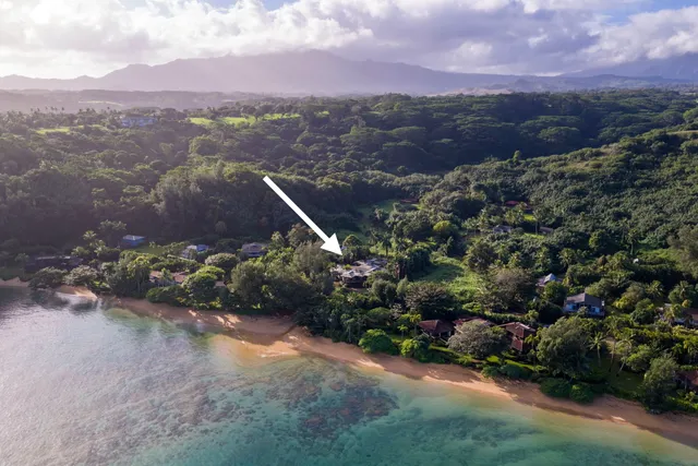 a view of a lot of trees and houses