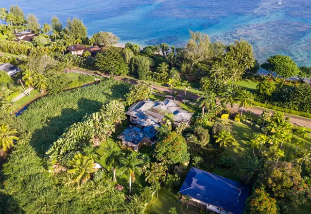 a view of a garden with plants
