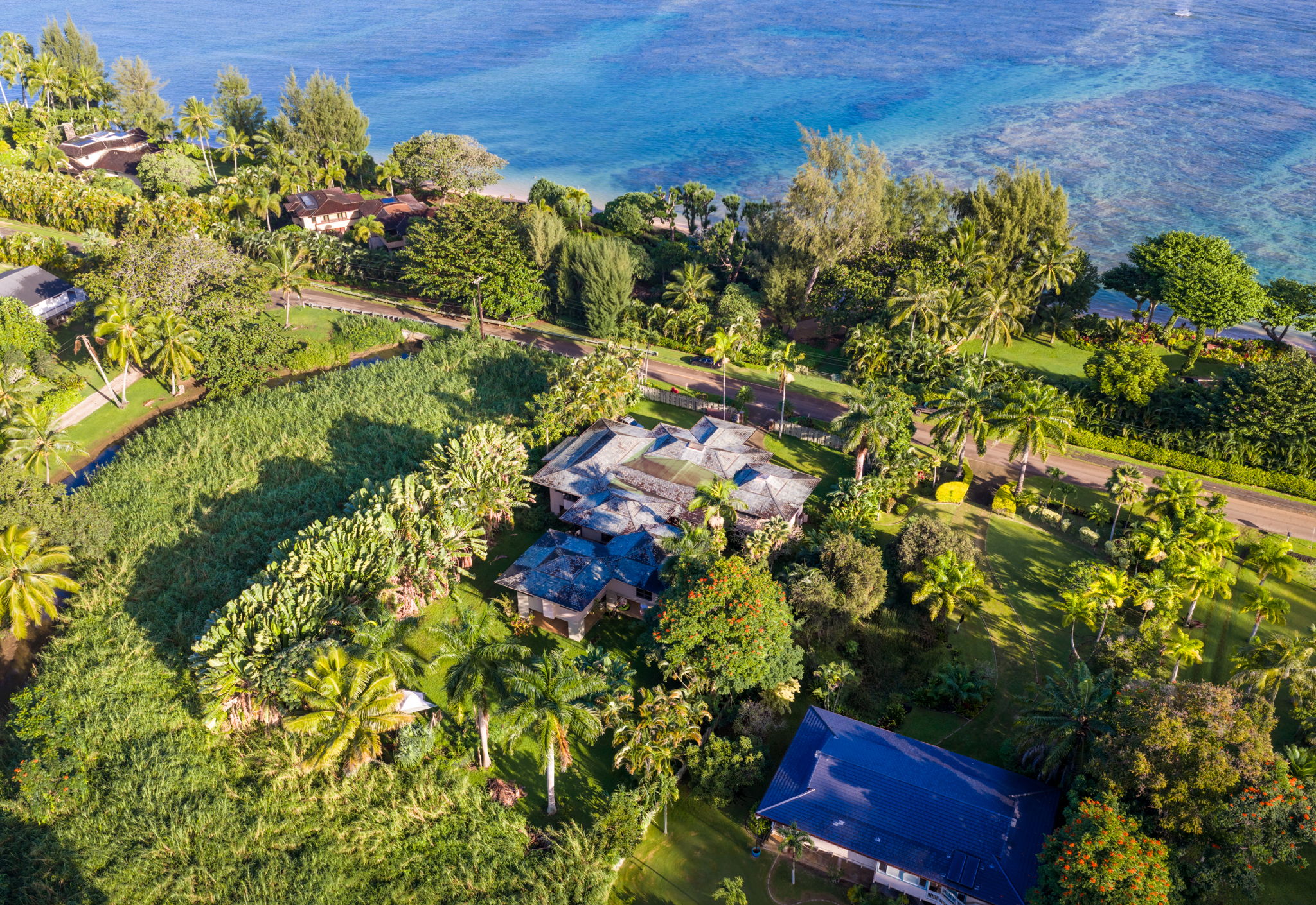 3557 Anini Road Princeville, HI 96722 - Photo 7 of 29 a view of a garden with plants