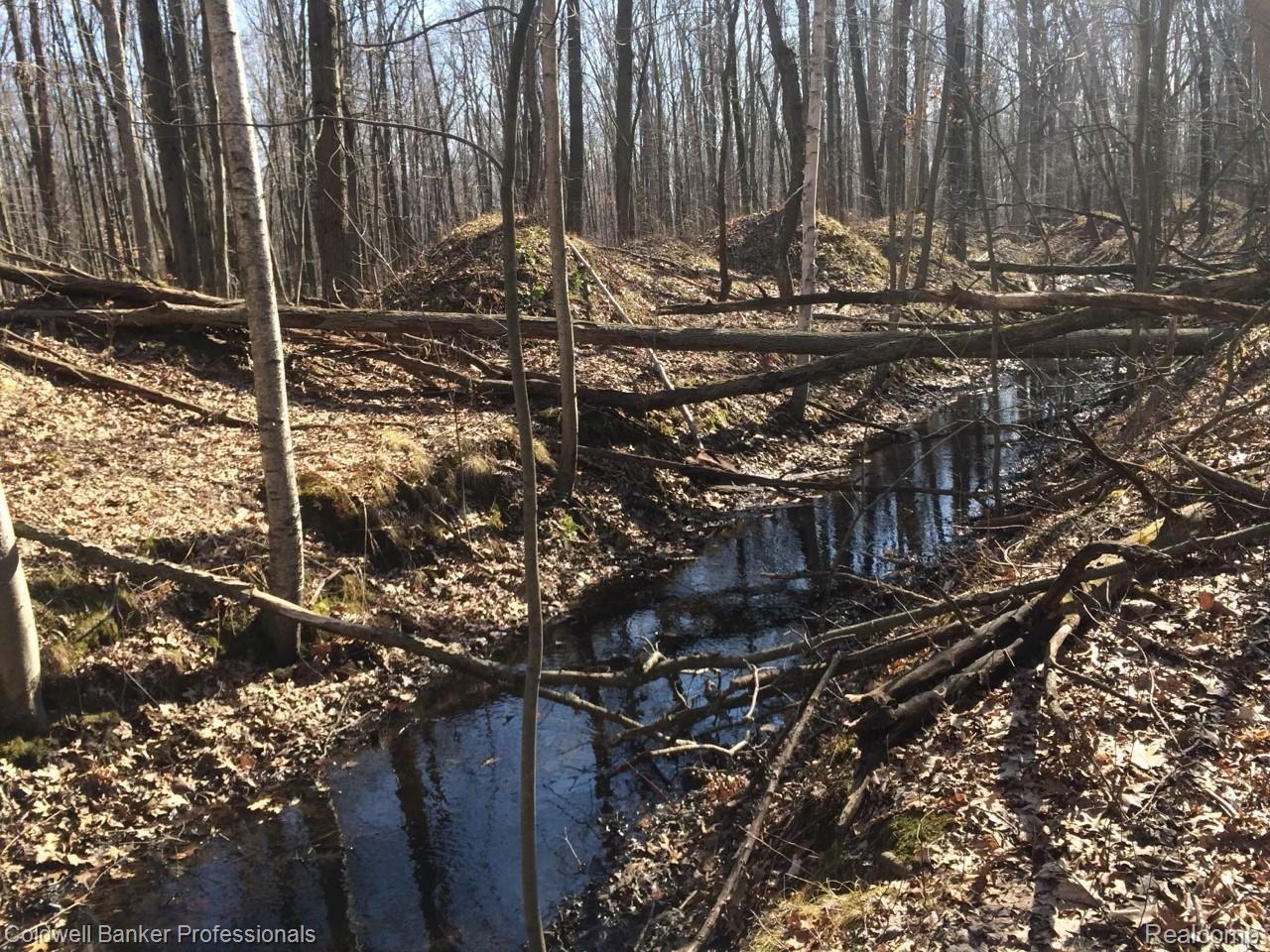 12621 Ithaca Road St. Charles, MI 48655 - Photo 37 of 39 35 12621 Creek.jpg