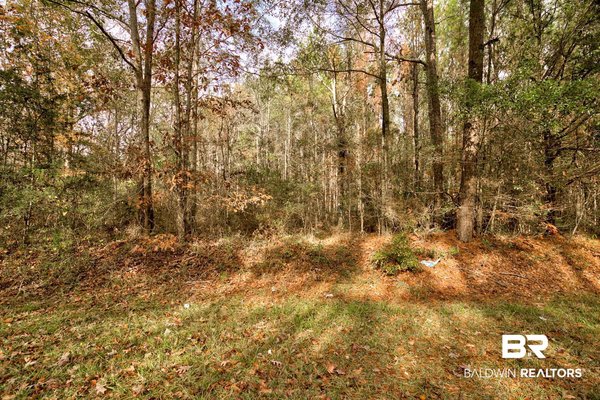 Old Greenville Road Evergreen, AL 36401 - Photo 15 of 16